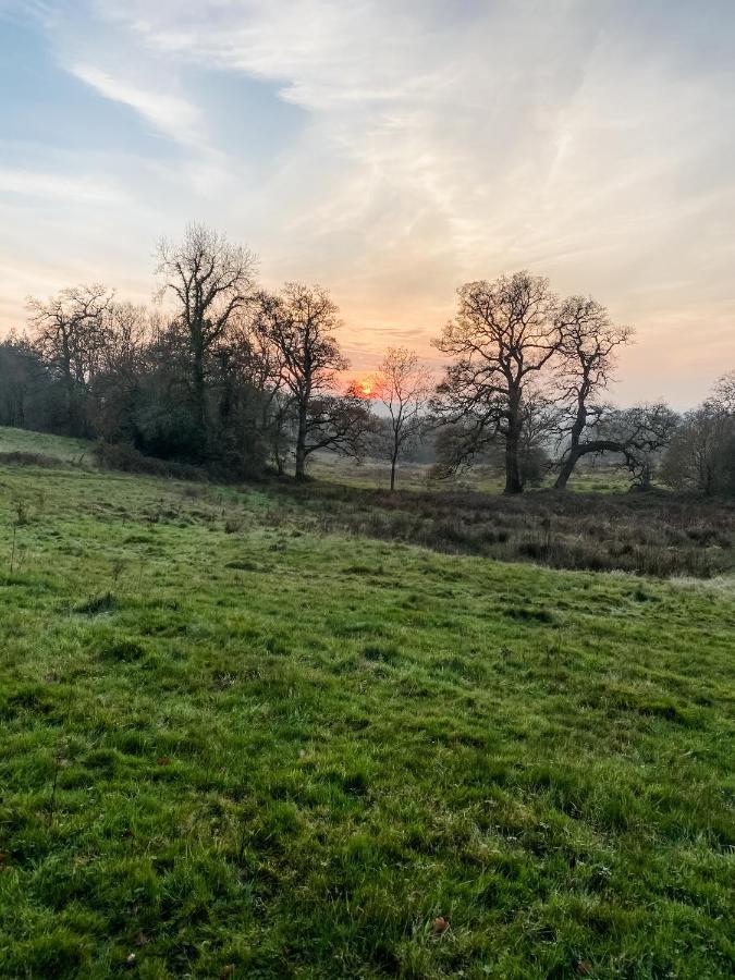 Little Willow Bank - 1 Bed Luxury Apartment Between Salisbury And The New Forest Экстерьер фото